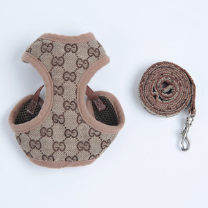 Pucci Harness and Lead