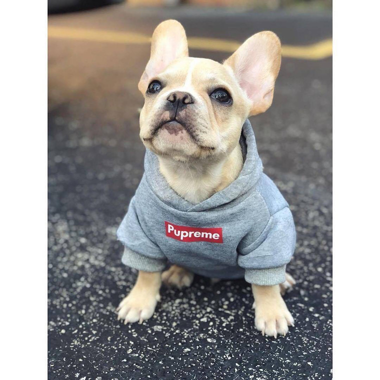 Pupreme Grey Hoodie